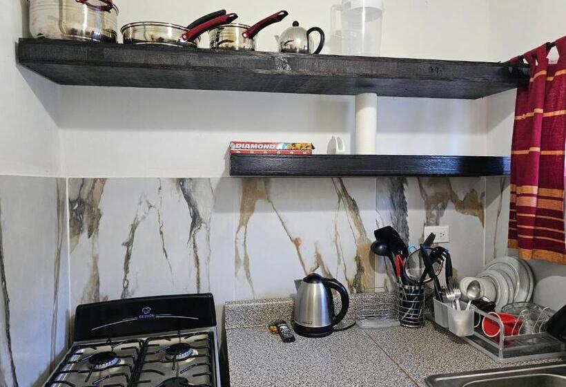 استودیو استاندارد با تخت کینگ, Roots Cafe Rooms