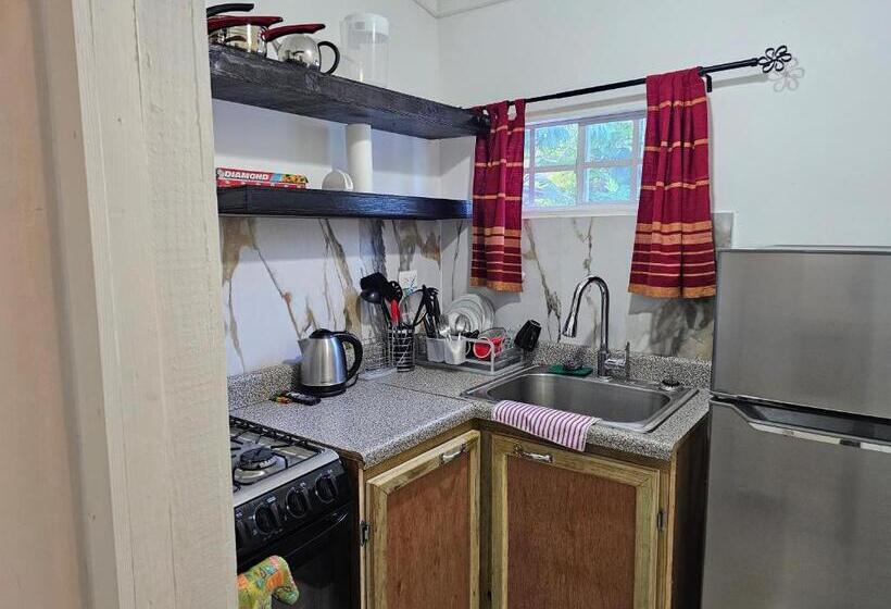 استودیو استاندارد با تخت کینگ, Roots Cafe Rooms