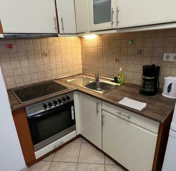 شقة غرفة واحدة, Opera Residence