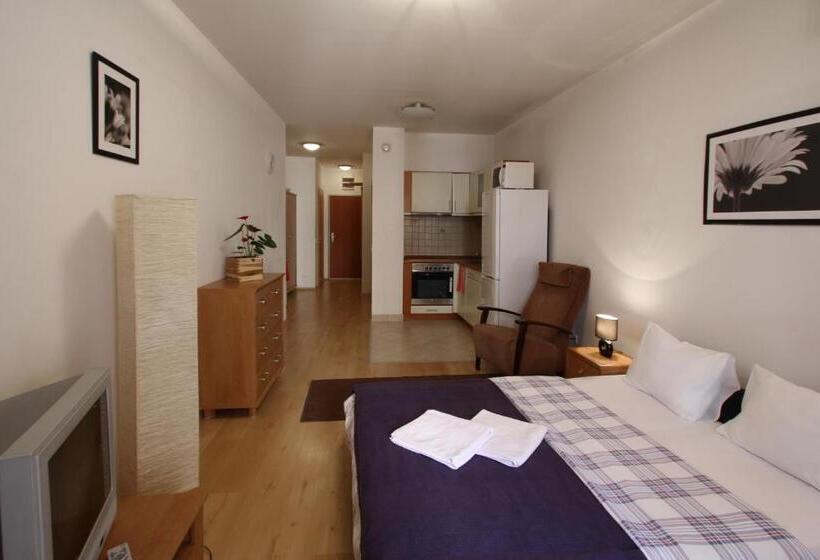 إستديو قياسى مزود بشرفة, Opera Residence