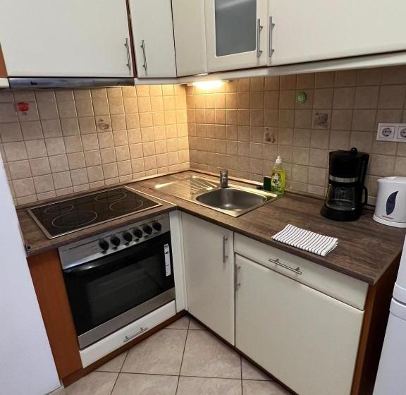 إستديو قياسى مزود بشرفة, Opera Residence