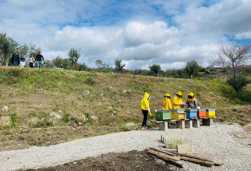 חדר דלוקס, Terra Di Vento