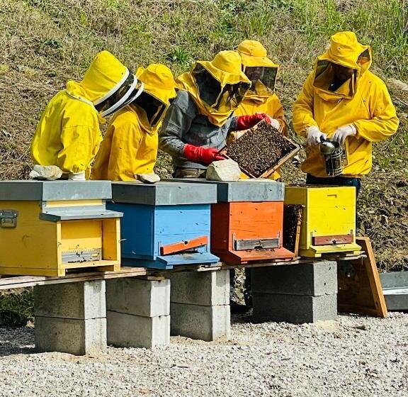 جناح مزود بجاكوزى, Terra Di Vento