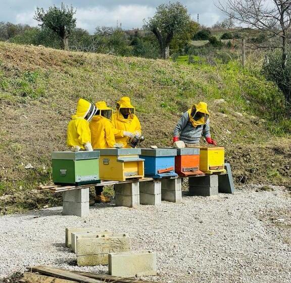 סוויטה עם ג'קוזי, Terra Di Vento