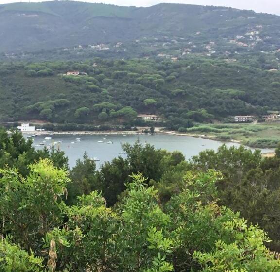 شقة سوبريور غرفة واحدة, Residence Les Oliviers