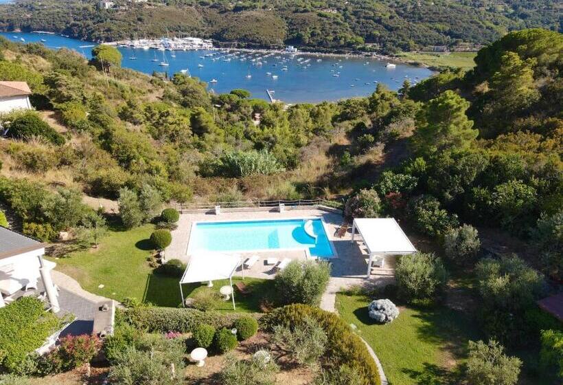 إستوديو قياسى مزودة بتراس, Residence Les Oliviers