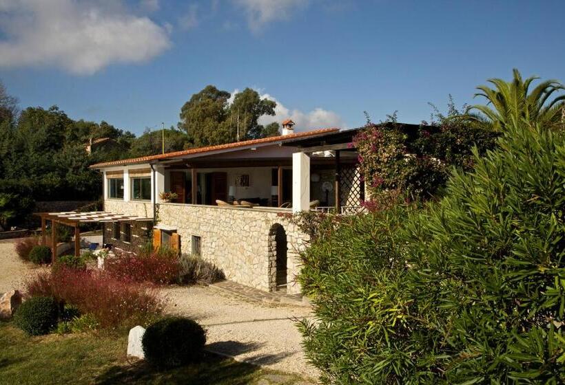 إستوديو قياسى مزودة بتراس, Residence Les Oliviers