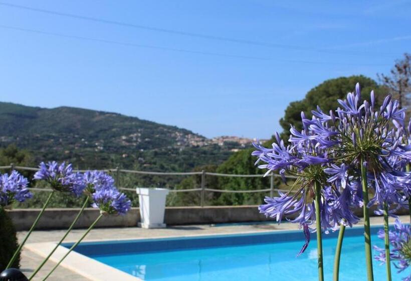 إستوديو قياسى مزودة بتراس, Residence Les Oliviers