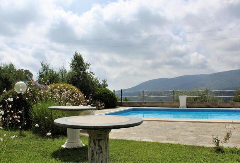 شقة غرفة واحدة مطلة على البحر, Residence Les Oliviers