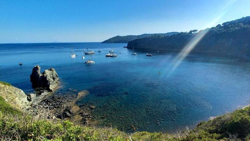 شقة غرفة واحدة مطلة على البحر, Residence Les Oliviers