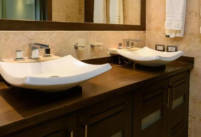 1 Bedroom Penthouse Apartment, Aligio Apart Hotel & Spa Las Terrenas