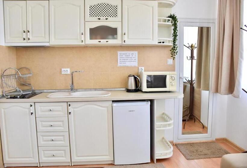 Апартаменты 1 Спальня с Террасой, Family Hotel Apolonia