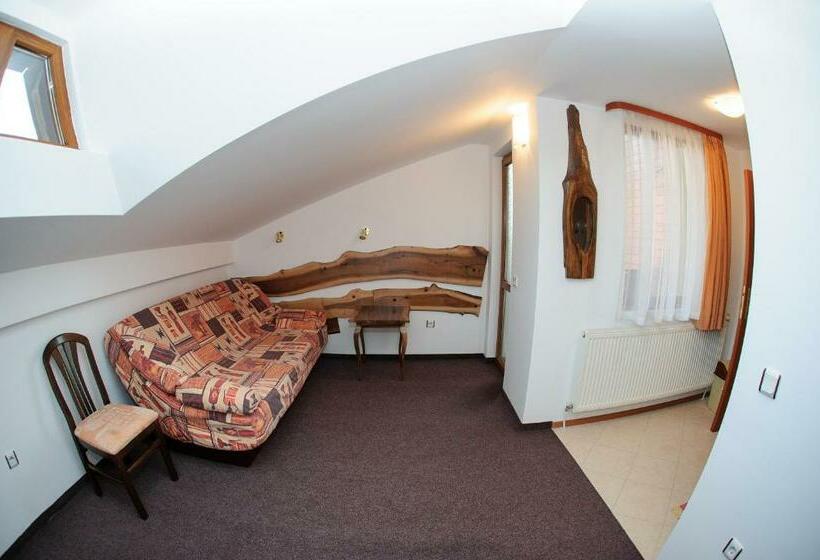 1 Bedroom Penthouse Apartment, Family Hotel Nadejda