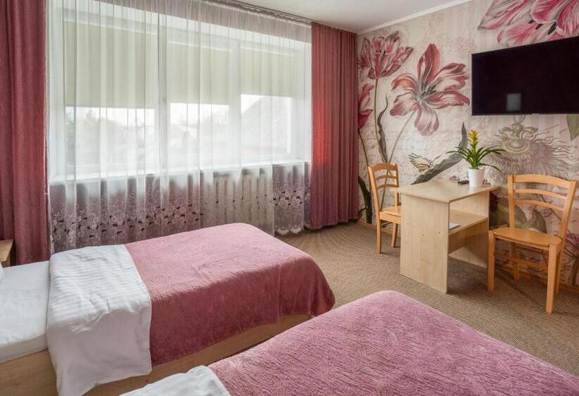 اتاق استاندارد, Šiaurės Vartai