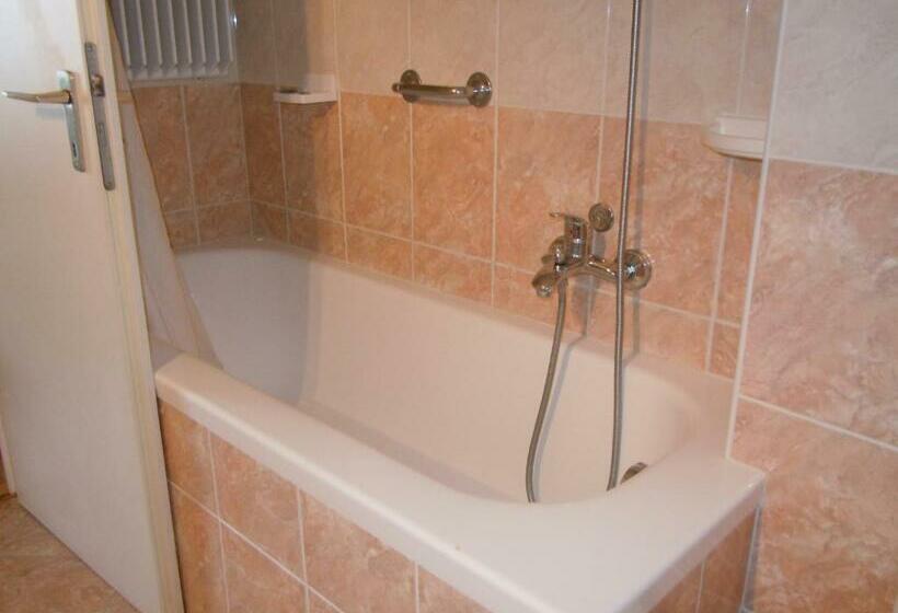 エコノミールーム, Swiss Lodge Nassa Garni