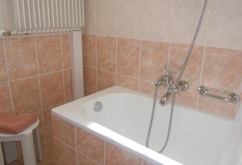 レイクビュースタンダードルーム, Swiss Lodge Nassa Garni