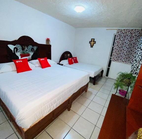 חדר סופריור, Fernando´s