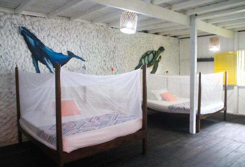 Quarto Quádruplo Estandar, Refugio Mr Jerry Eco Hostal