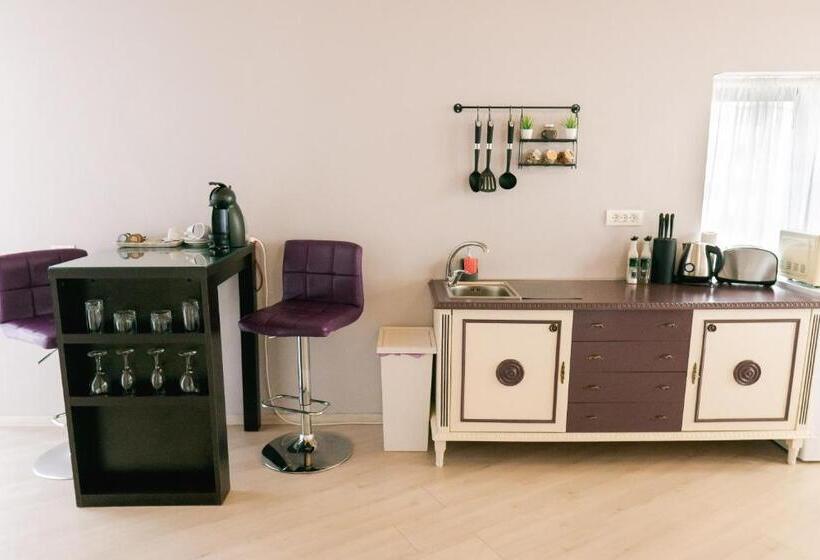 Студия Стандарт, Chic Studio