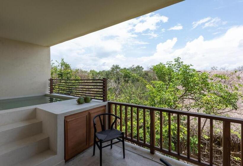 Escritório Deluxe, Unho Tulum