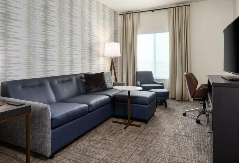 Люкс Кровать Кинг, Residence Inn By Marriott East Peoria