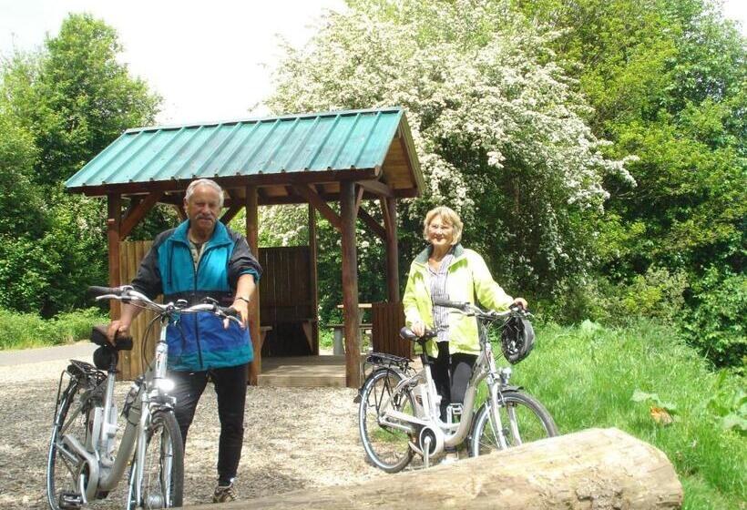 חדר סופריור, Charme   Hotel Lindenhof