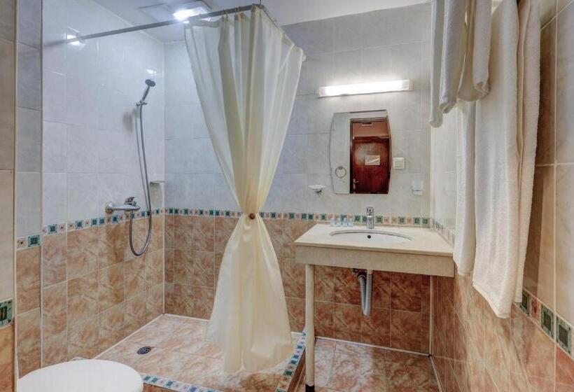 חדר סטנדרט עם מרפסת, Ellinis