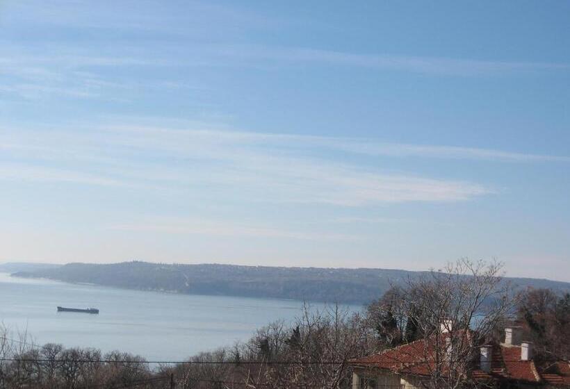 חדר סטנדרט עם מרפסת, Ellinis