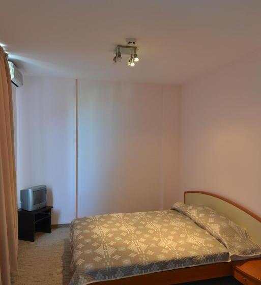 דירת חדר דלוקס, Ellinis