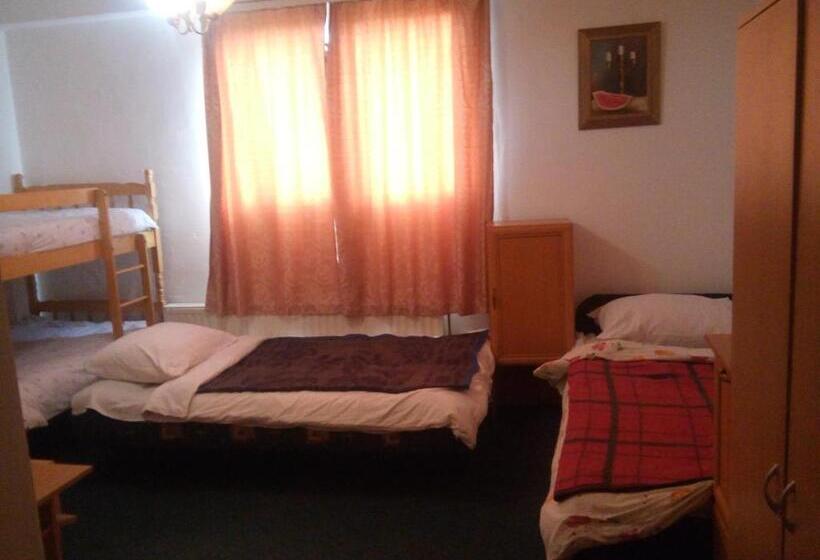 １ベッドルームアパートメント, Hostel Gonzo