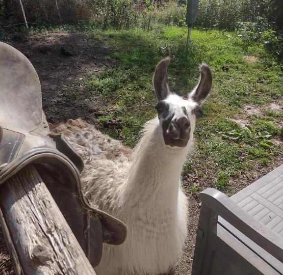 منزل غرفة نوم واحدة, Moulin De Moxhe Micro Gîte Et Gîte Bed & Dreams