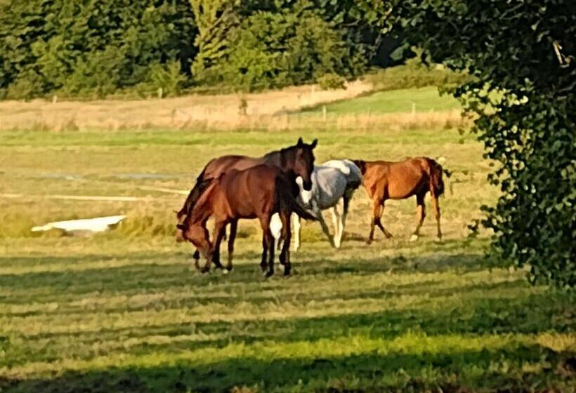 منزل غرفة نوم واحدة, Moulin De Moxhe Micro Gîte Et Gîte Bed & Dreams