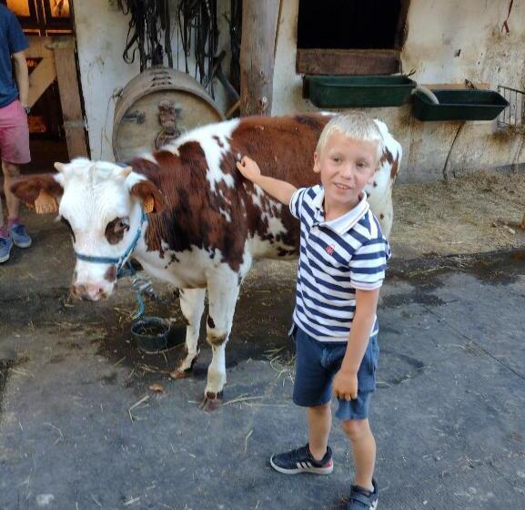 منزل غرفة نوم واحدة, Moulin De Moxhe Micro Gîte Et Gîte Bed & Dreams