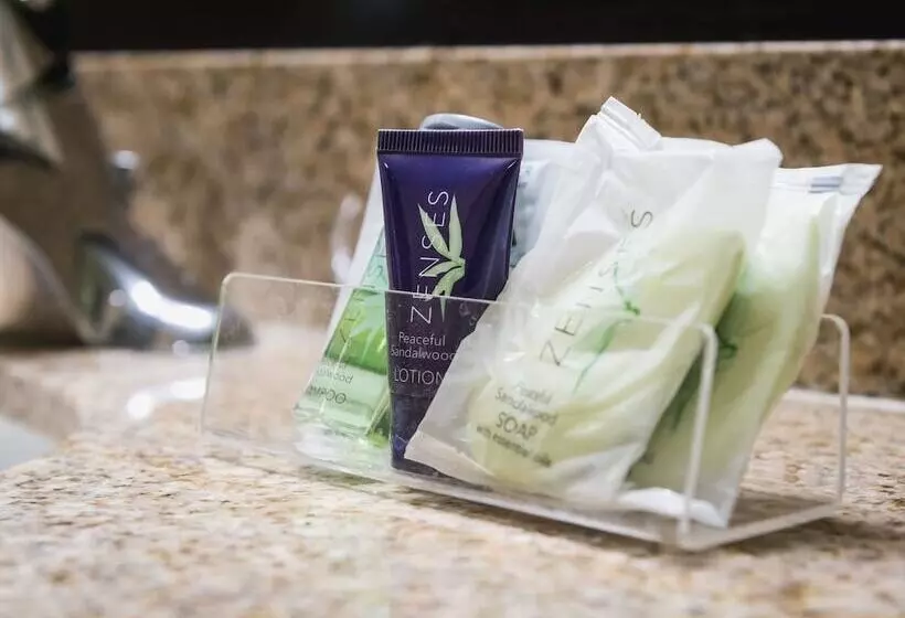 スイート, Sleep Inn & Suites Bakersfield North