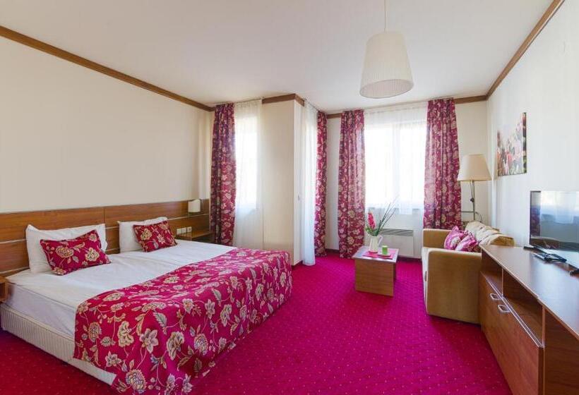 חדר סטודיו סטנדרד, Vihren Royal Palace