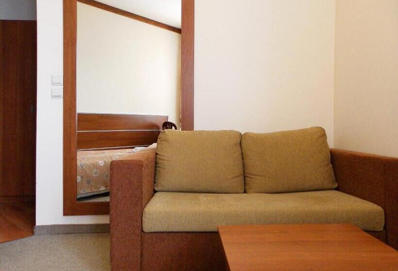 חדר סטנדרט יחיד, Vihren Royal Palace