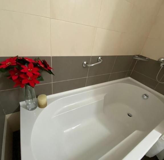 דירת חדר, Vihren Royal Palace