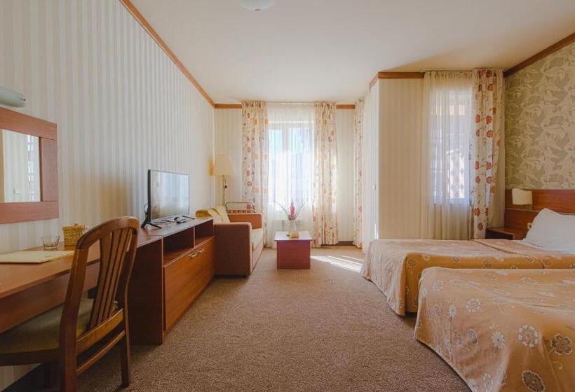 חדר סטודיו סטנדרד, Vihren Royal Palace