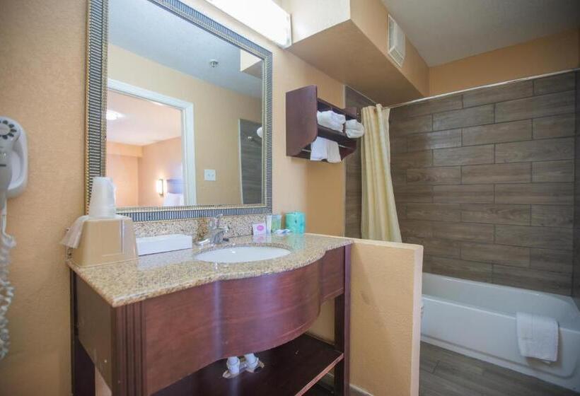 带大床的套房, The Crossroads Hotel And Suites Irving
