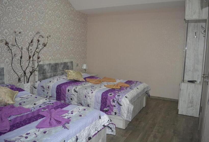 اتاق استاندارد چهارنفره با چشمانداز باغ, Golden Way