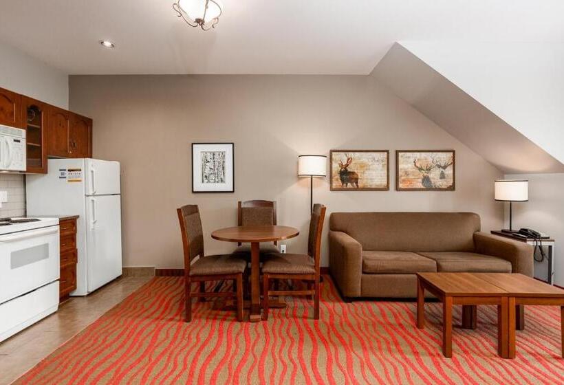 شقة غرفة واحدة, La Tour Des Voyageurs Ii