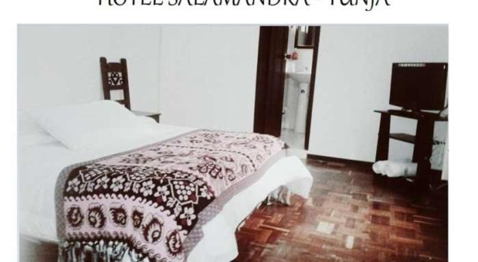 Номер Стандарт, Salamandra Tunja