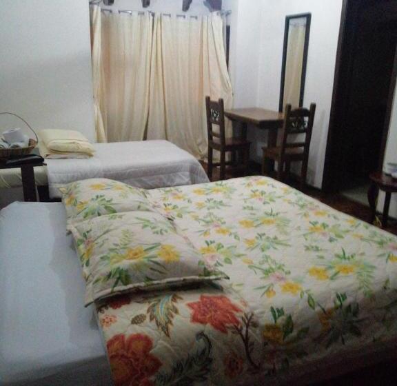 Номер Стандарт, Salamandra Tunja