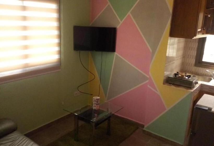 استودیوی استاندارد, Maison Rose+