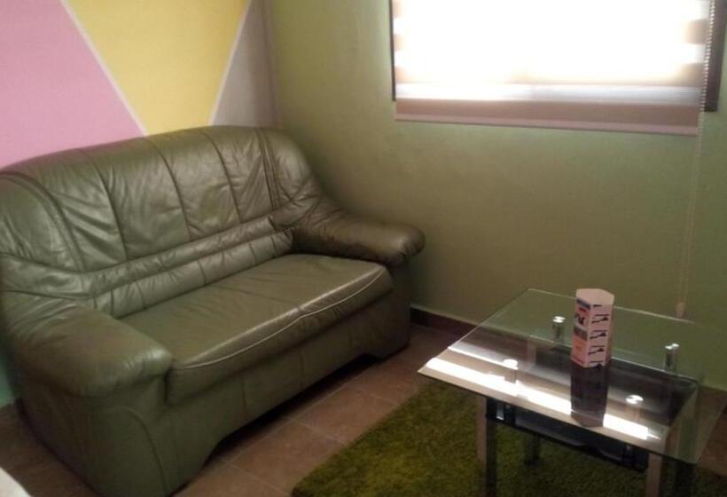 استودیوی استاندارد, Maison Rose+