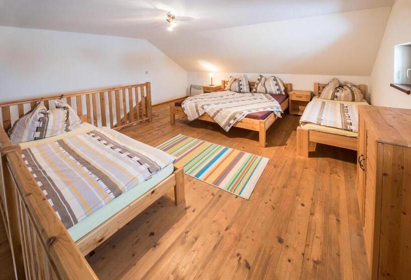 １ベッドルームドゥプレックスアパートメント, Penzion U Lišky