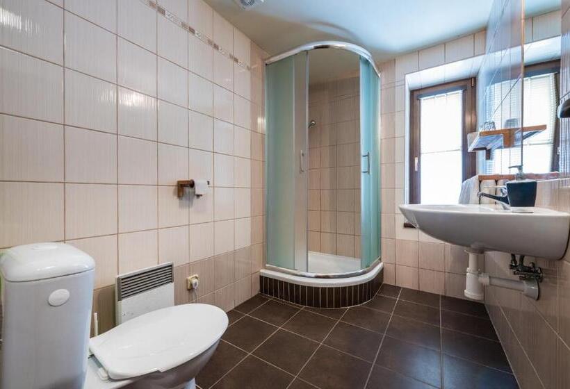 １ベッドルームドゥプレックスアパートメント, Penzion U Lišky