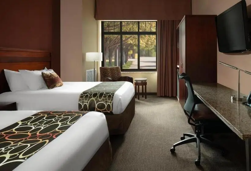 デラックスルーム, Riverside Casino & Golf Resort