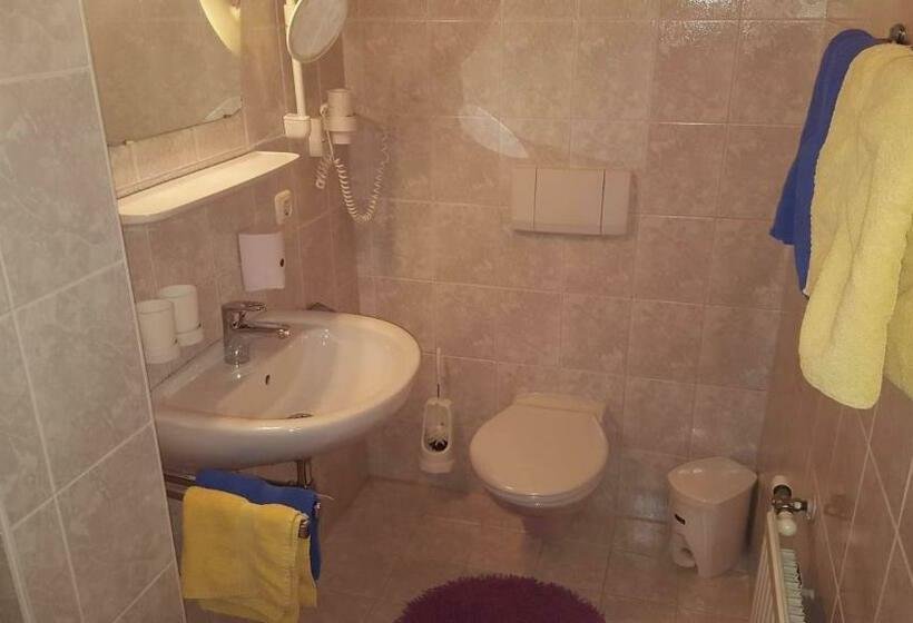 スタンダードルーム, Ferienhotel Lindenhof