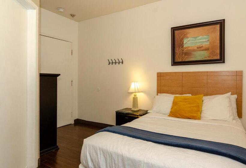 スタンダードルーム, Dorion